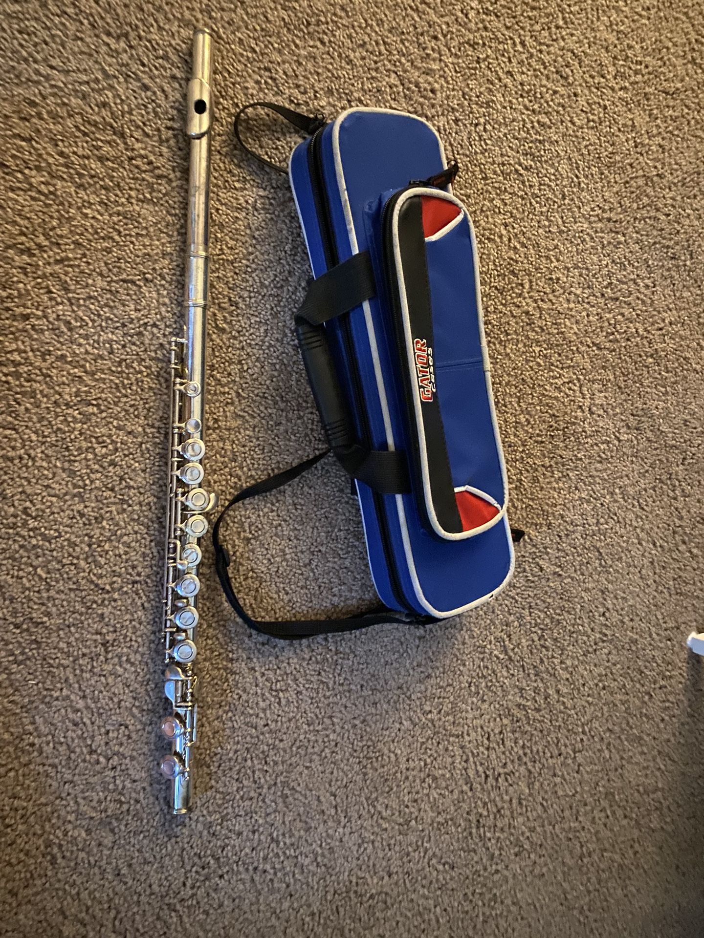 Flute And Case
