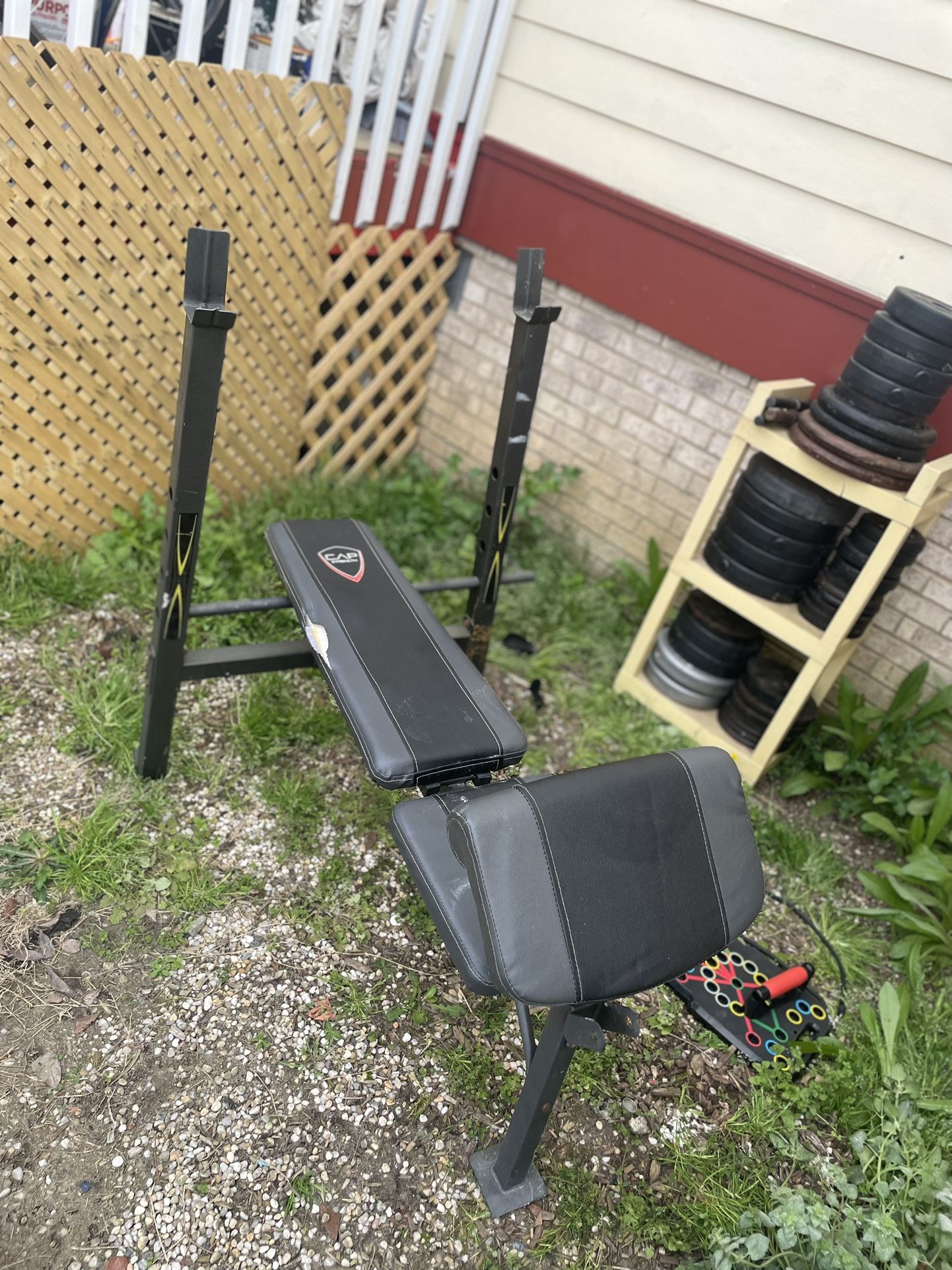 BENCH WITH 25 Ib Bar And Curl.