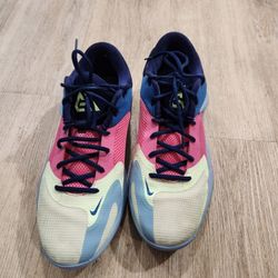 Nike Zoom Freak 4 Giannis Blue Marine DO9680-400 Men's Size 12.5
