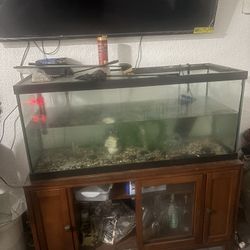 Fish Tank 80 Gl  120$