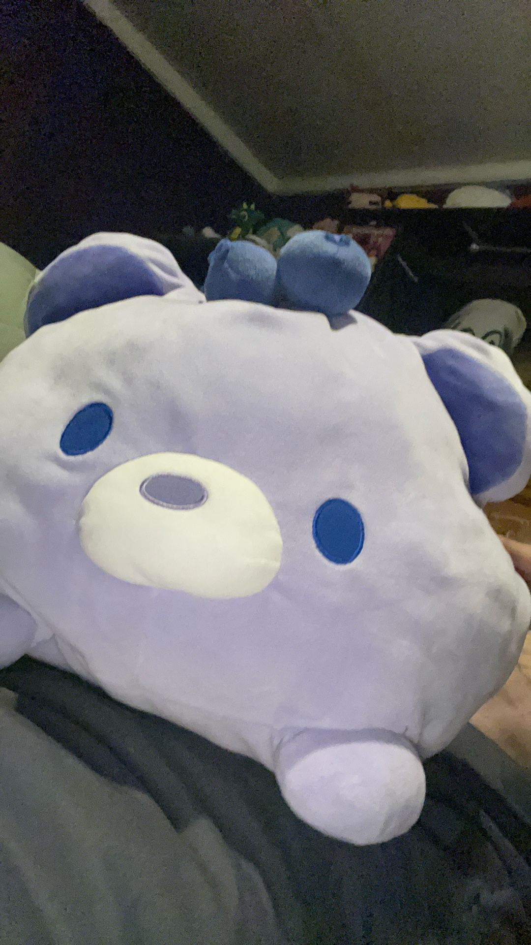 A Blueberry Plushie