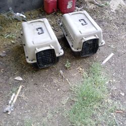 Small Animal Crates 