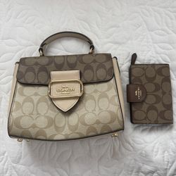 Coach purse & Wallet ( Brown & Tan)