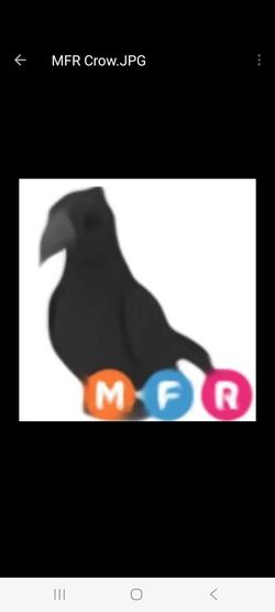MFR Adopt Me Crow