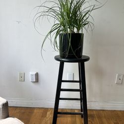 Stool Chair/plant Holder 