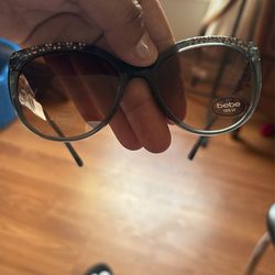 Bebe Sunglasses 