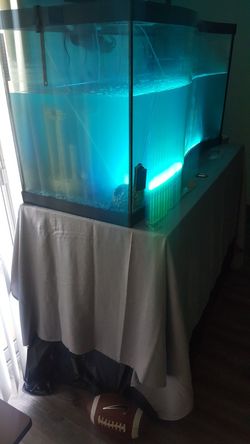 90 gallon fish tank