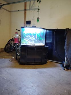 fish tank