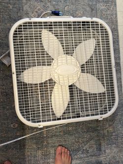 Indoor Fans !