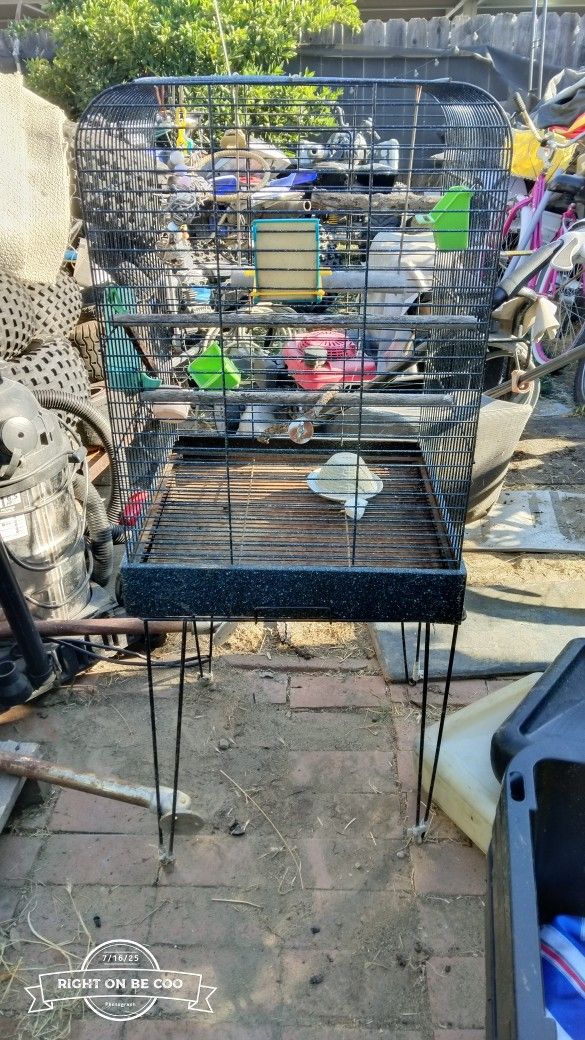 Nice Bird Cage