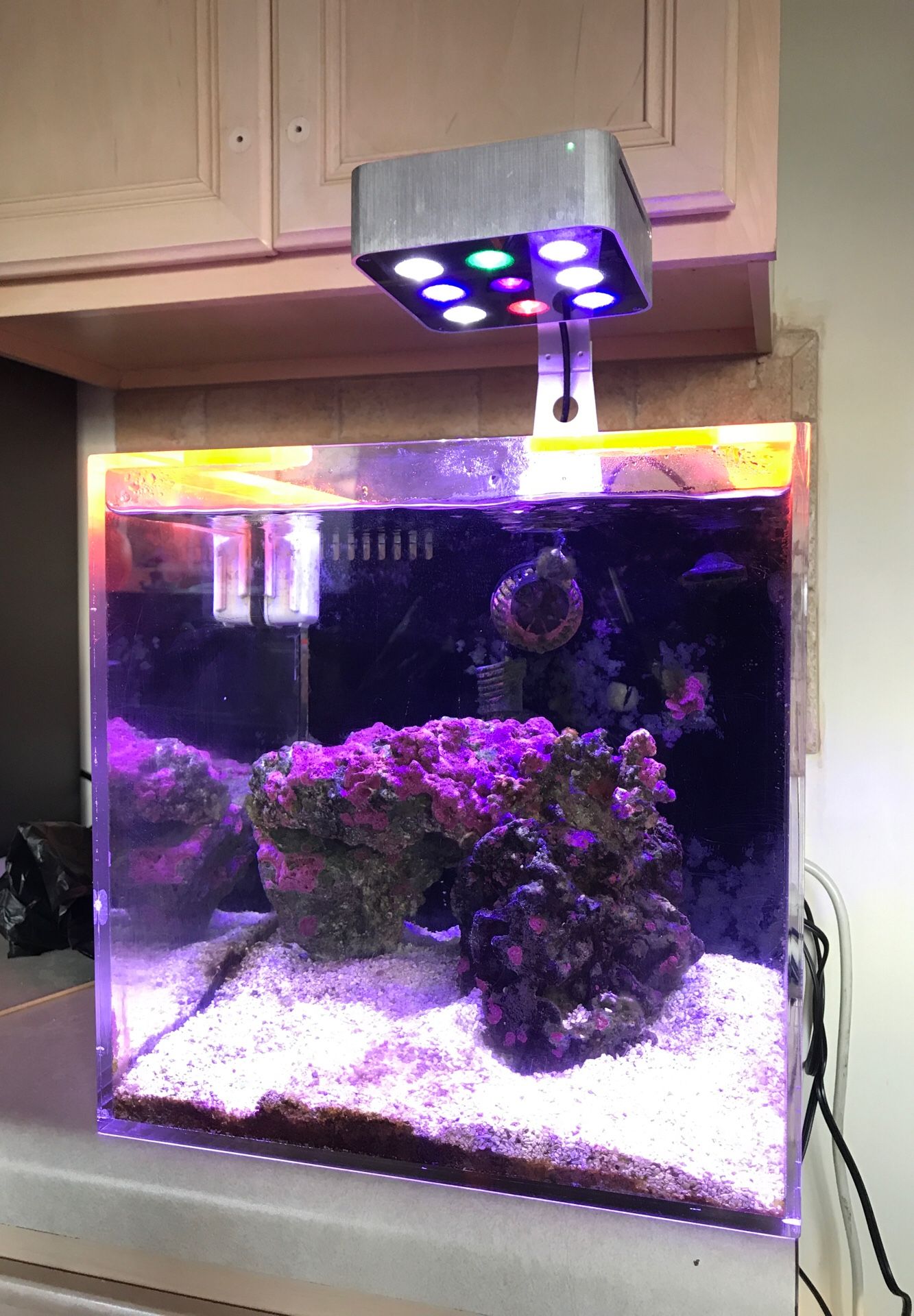 10 gallon salt tank