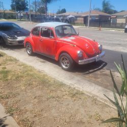 Vw beetle