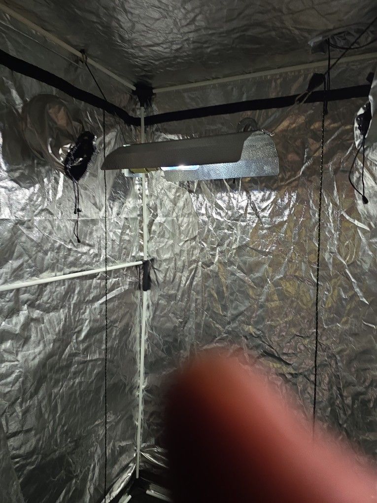 Grow Tent With Light