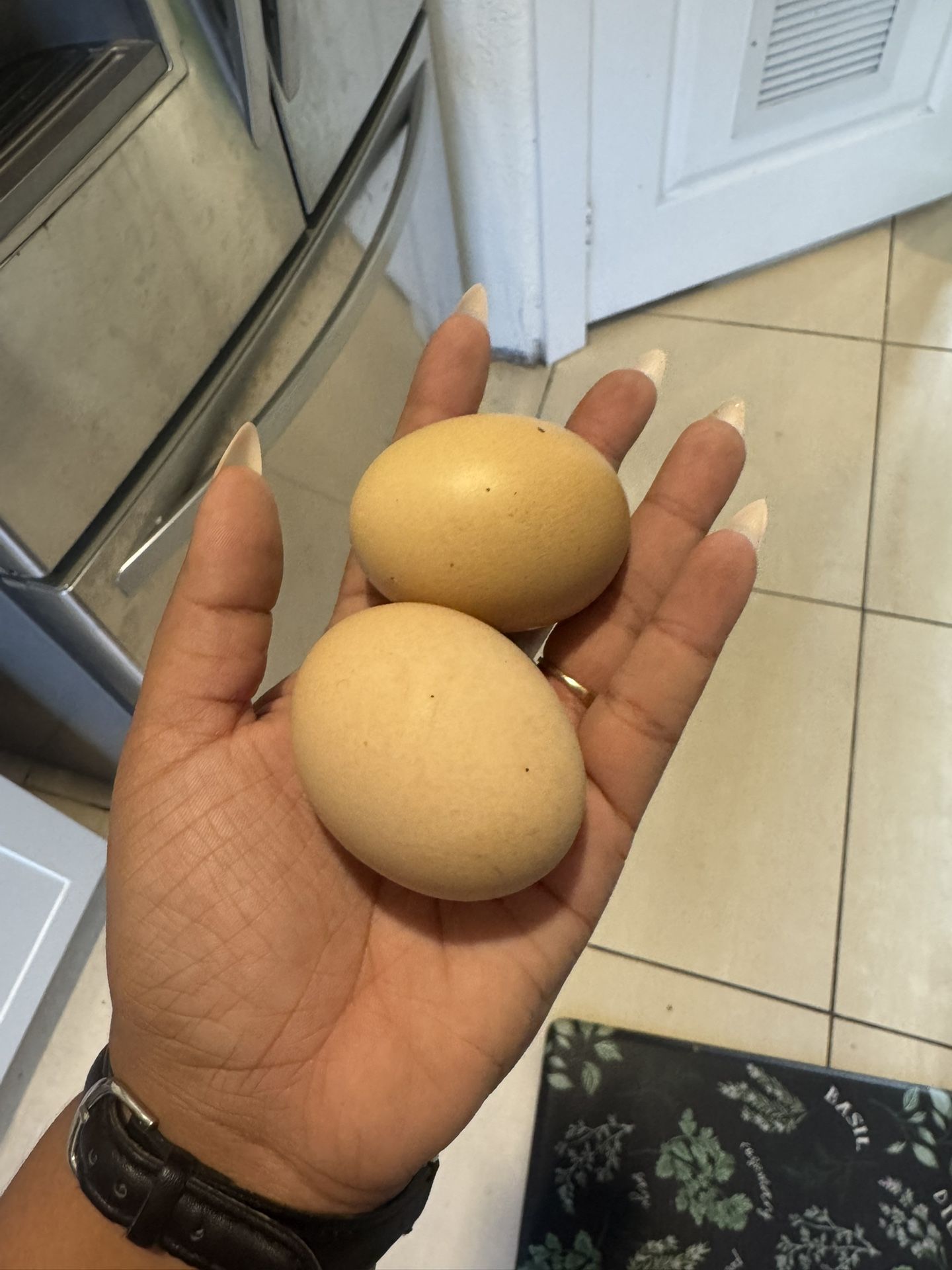 Huevos Griollos π― Organicos