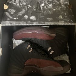 Jordan 12 Size 9.5