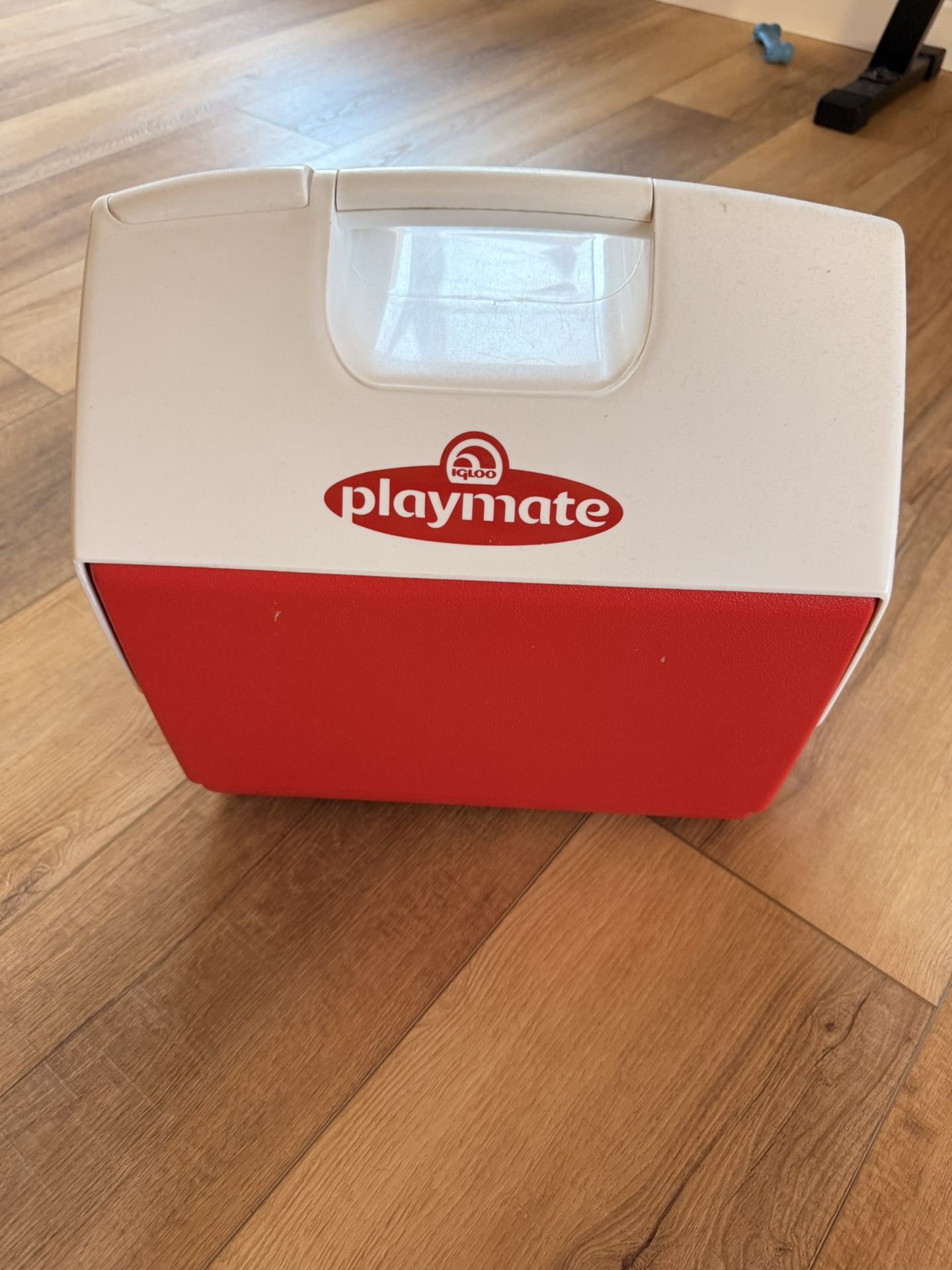 Igloo Playmate Elite Cooler – Red and White