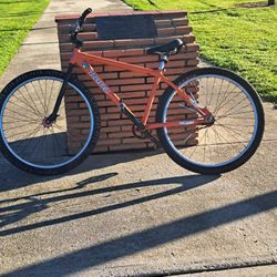 Palm Will Trade For E Bike