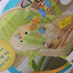 Fisher Price rocker infant to toddler