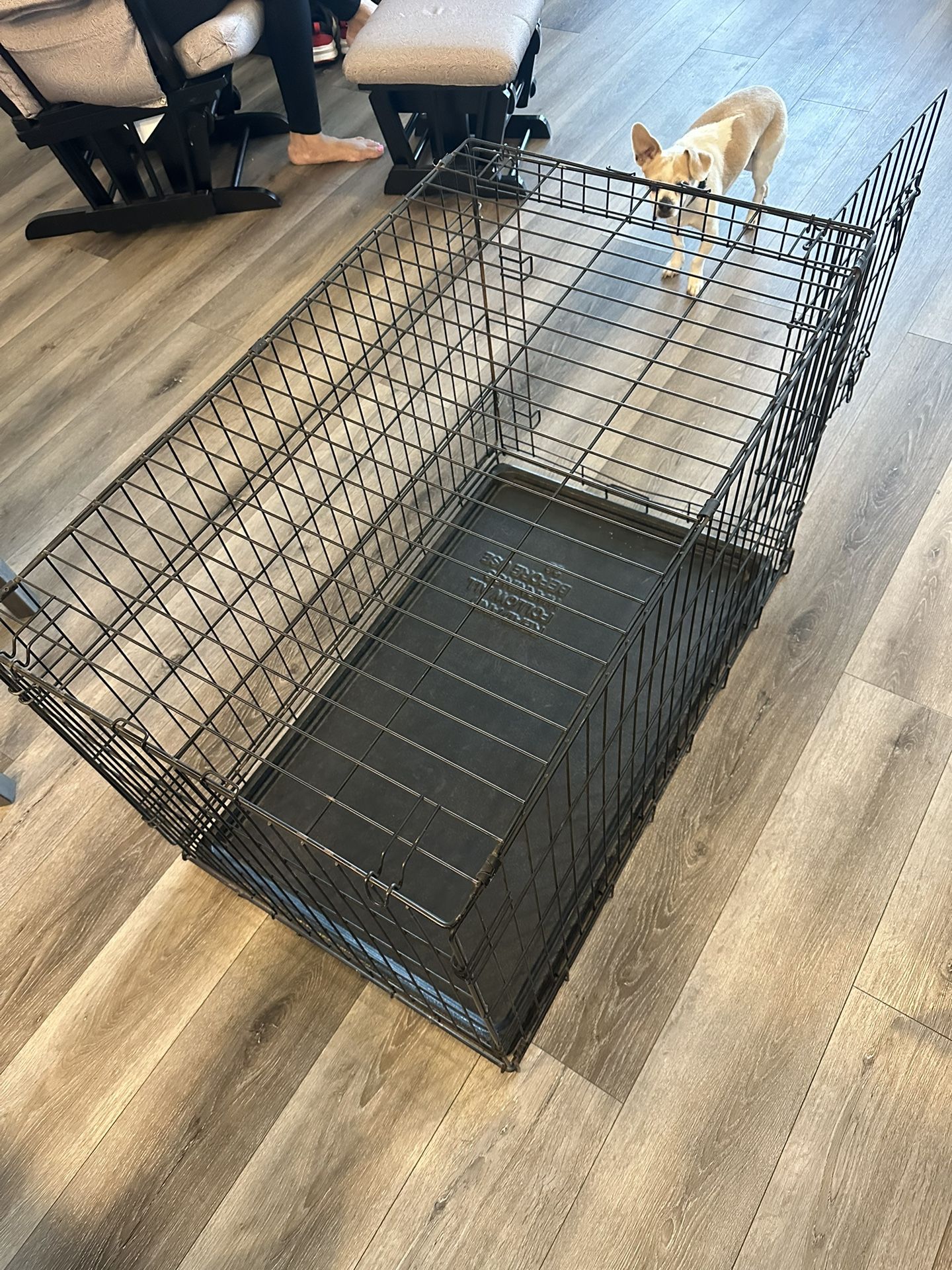 Dog Crate