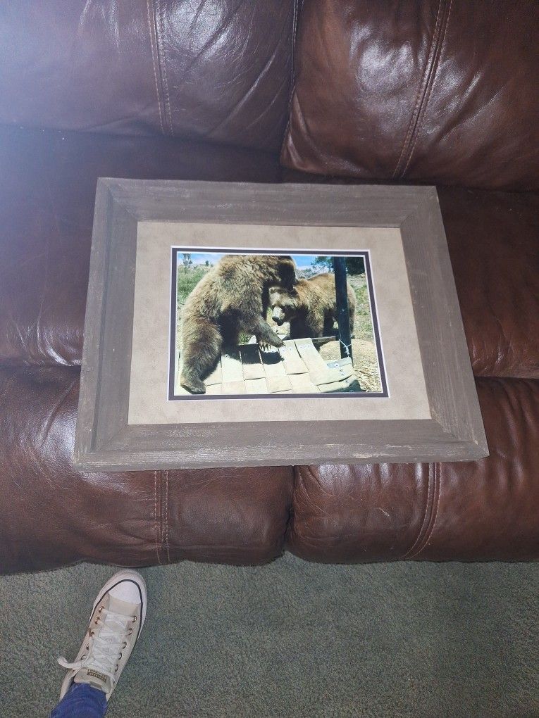 Grisly bears wrestling.