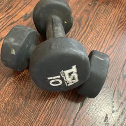 Pair of 10 lb Neoprene-Coated Dumbbells Total Sports America TSA Weights