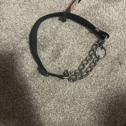 Brand New dog collar Never used tags On! 