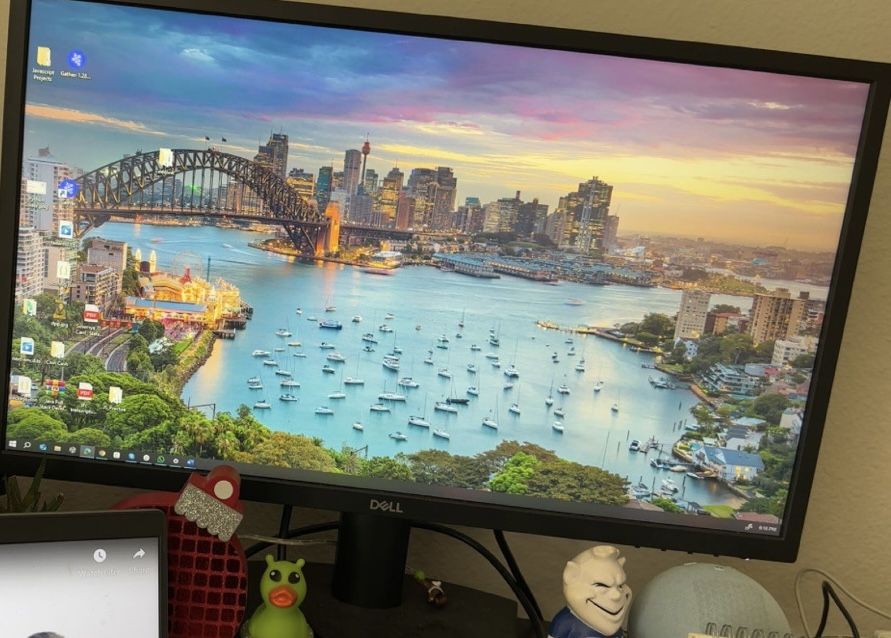 Dell Monitor 24 inch