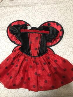 18-24 M Lady Bug Costume