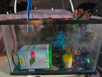 5 Gallon Fish Tank