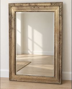 Large Black Lion Floor Mirror (46" x 58")