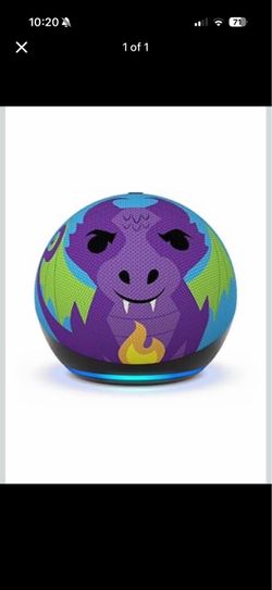 Echo kids speaker