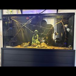 55 Gallon Aquarium With FX4 Filter