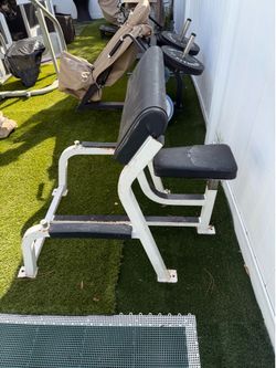 Preacher Curl