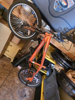 Kid/Teenager Bike