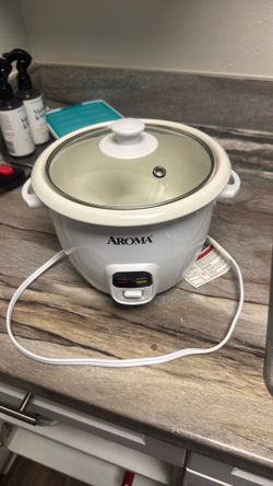 Rice maker