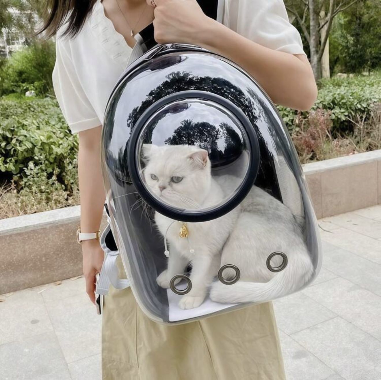 Backpack For Cat