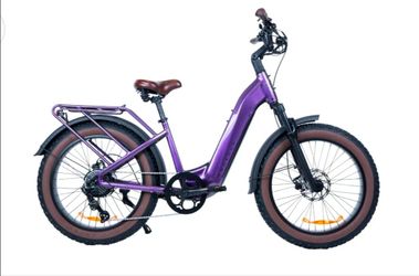 MAGNUM BLISS E BIKE 50 MILES PER CHARGE 29 MPH