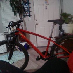Schwinn Ranger