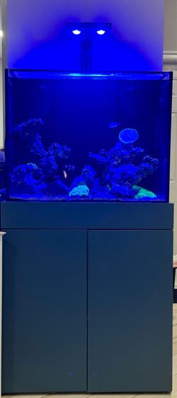 50 Gallon Reef Tank Setup w/ Sump Refugium, Livestock, Cabinet & Extras