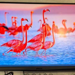 MSI OPTIX MAG27QRF-QD 27" PC Monitor Screen
