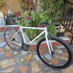 Single Speed Road Bike
