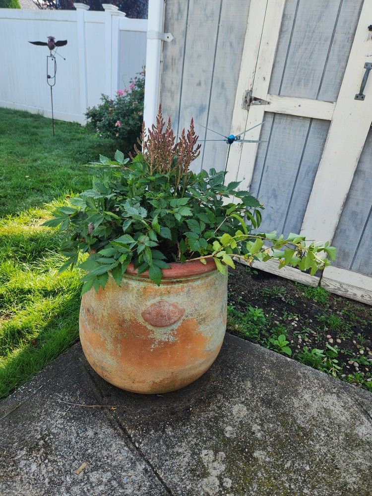Outdoor Decor