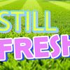 STILL FRESH