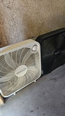 Fans $30