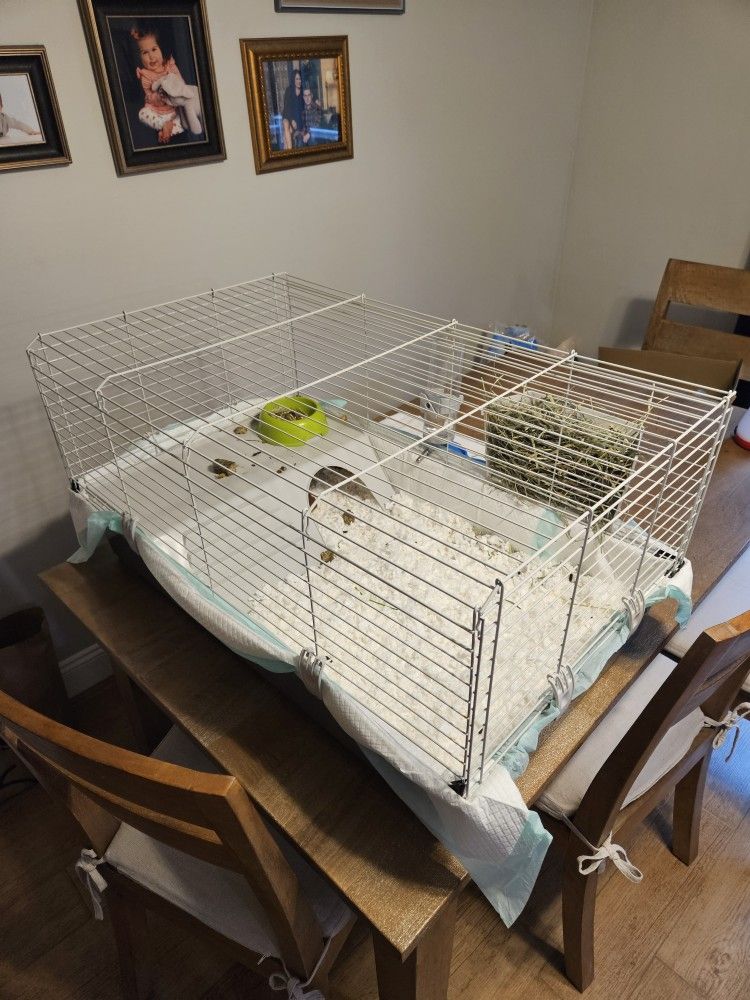 Guinea Pig Cage