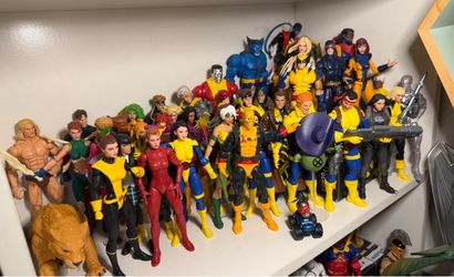 X-Men Marvel Legends Action Figure Collection