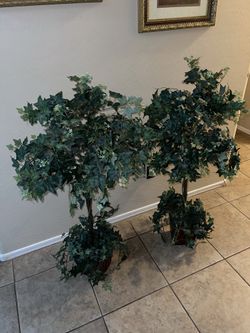 Beautiful Set Of 5feet  Artificial trees Decor $95 Firm 