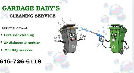 Garage Bin Cleaning