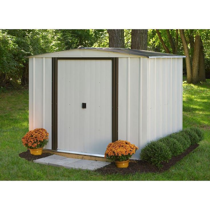 8x6  Shed