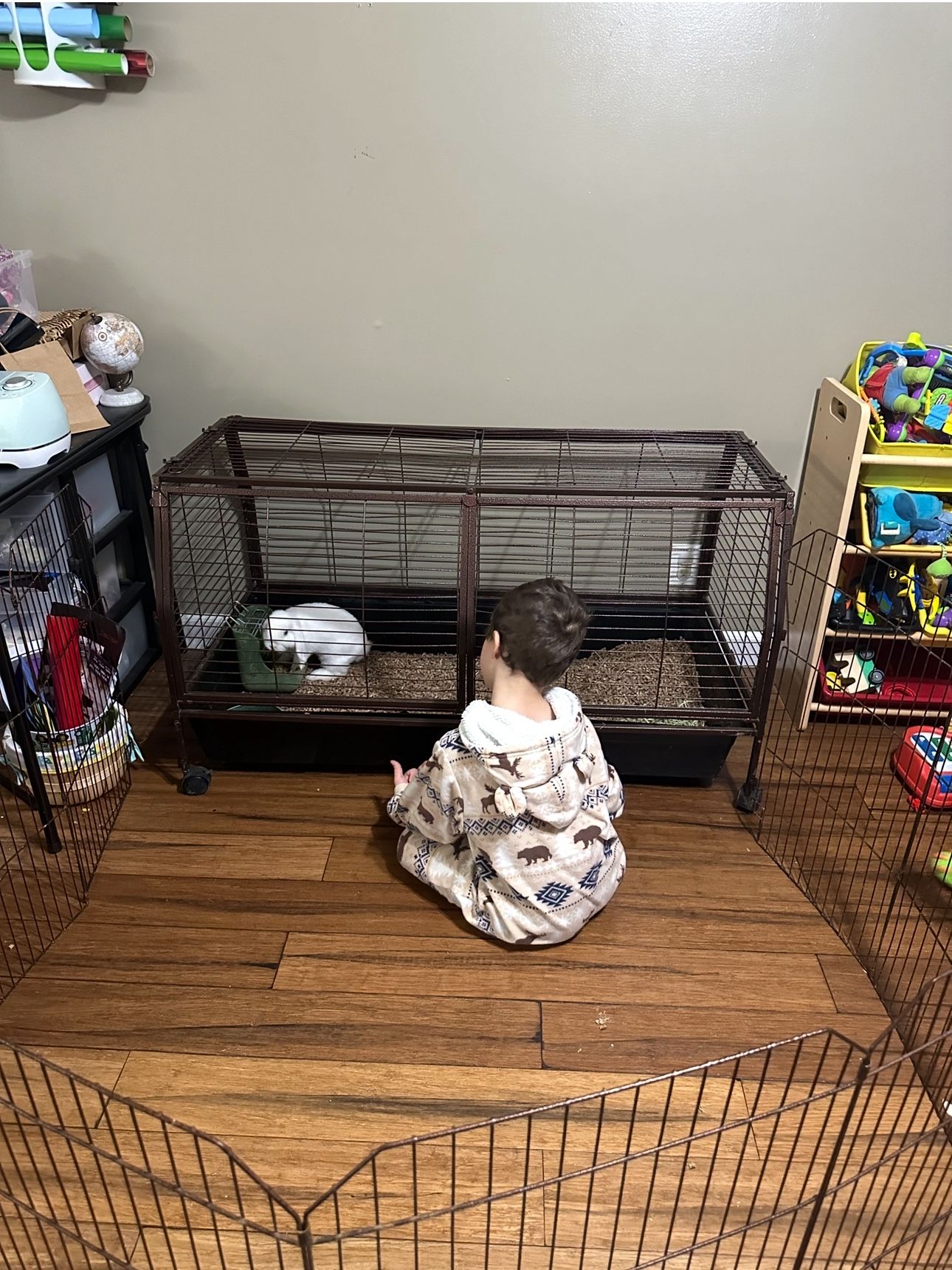Rabbit Cage With Fencing
